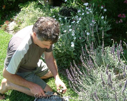 Peter Wilson withtrowel 